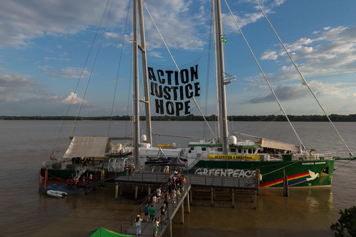 Retrospectiva Greenpeace Brasil: 2025 em 5 fotos