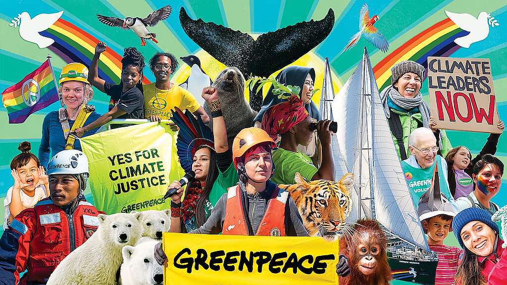 Uma montagem composta por várias fotografias mostrando diferentes ativistas reunidos. As imagens apresentam pessoas de idades, etnias e gêneros diversos, lado a lado, expressando união e colaboração. | Crédito: Greenpeace