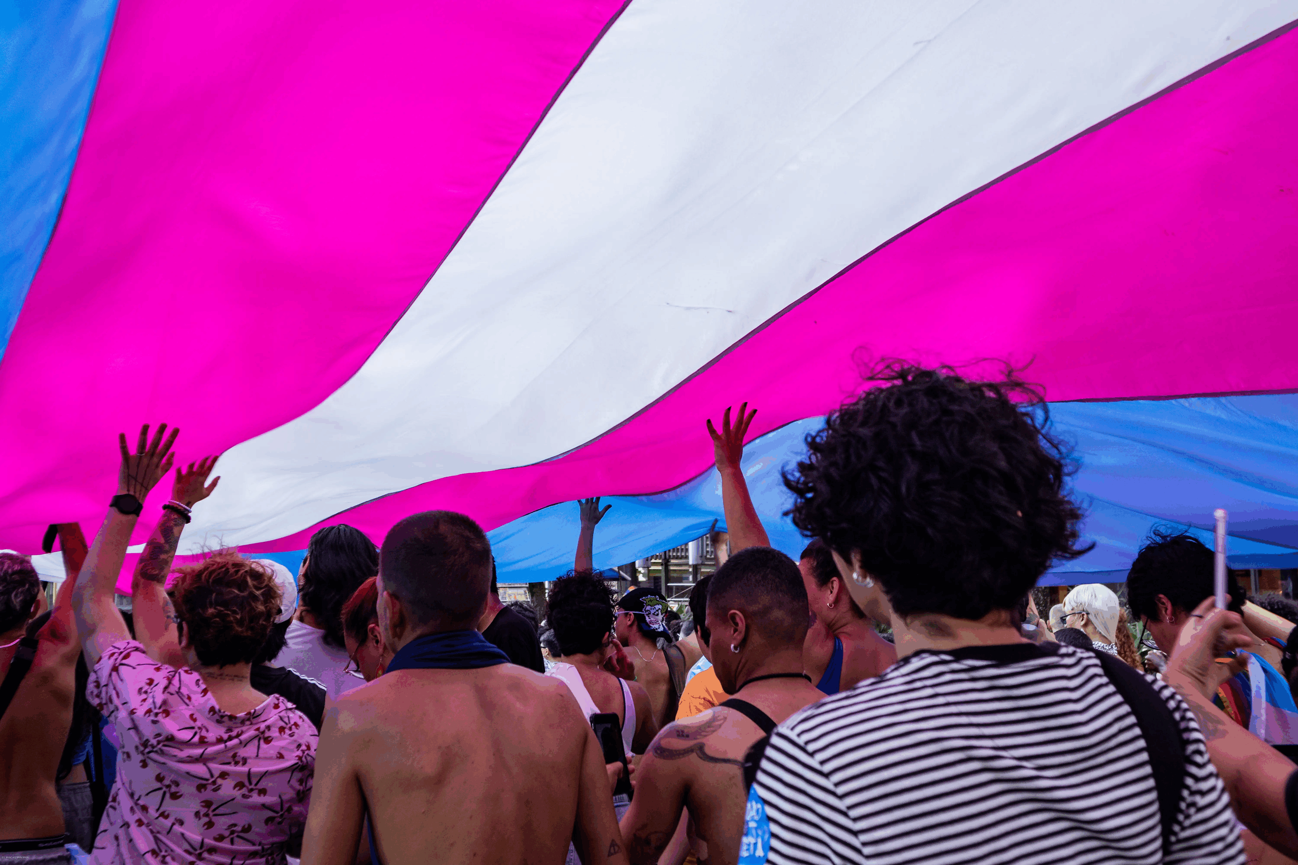 Visibilidade trans, trabalho e dignidade: por que 29 de janeiro é sobre direitos e futuro 
