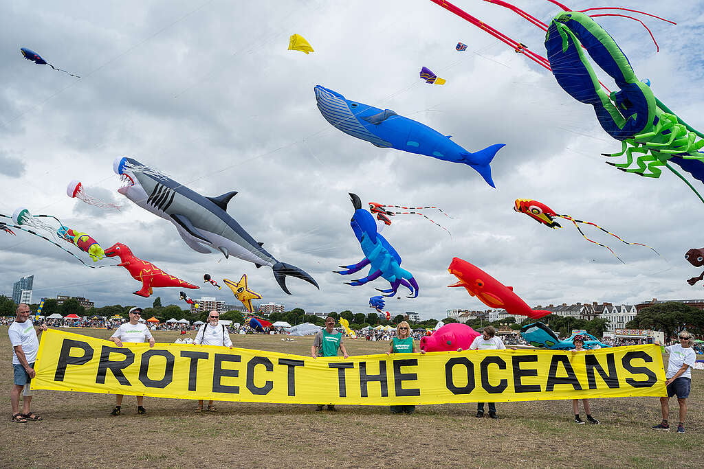 Pessoas seguram uma grande faixa amarela com a frase “Protect the Oceans” em um campo aberto.
No céu, diversas pipas gigantes em forma de animais marinhos, como baleia, tubarão e peixes coloridos, voam contra um fundo nublado.