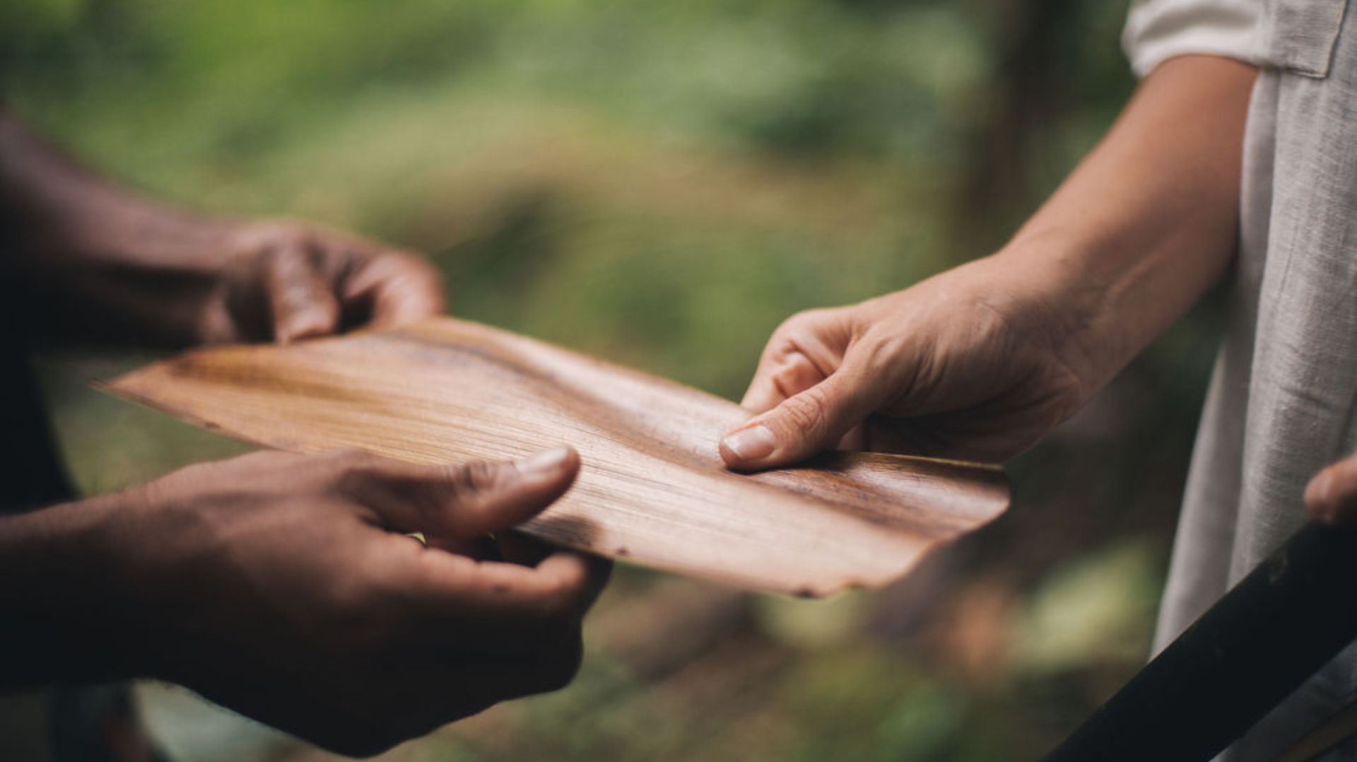 Floresta vive, tudo respira: Greenpeace Brasil e Flavia Aranha unem moda e ativismo pela vida