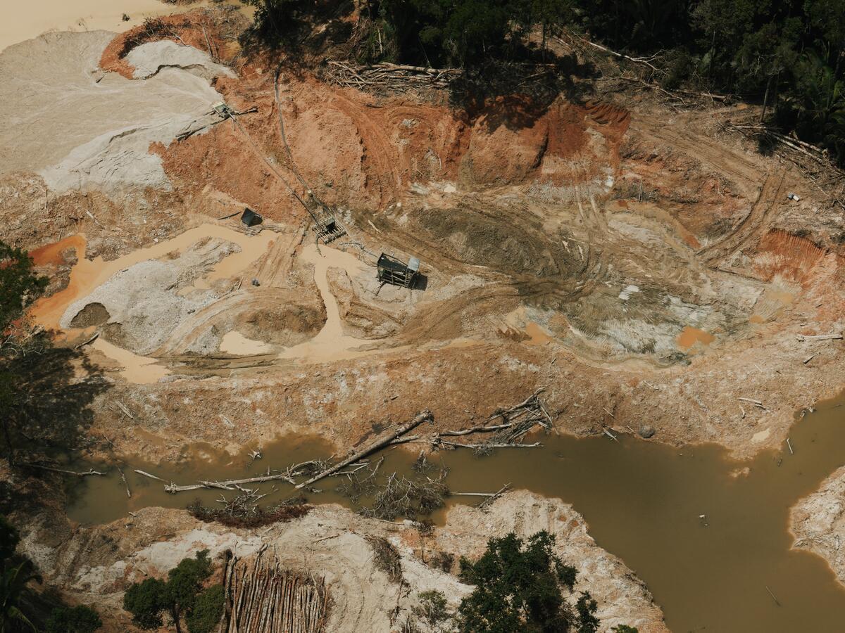 Entra em vigor lei que desmonta o licenciamento ambiental e cria grave insegurança jurídica, alerta Greenpeace Brasil