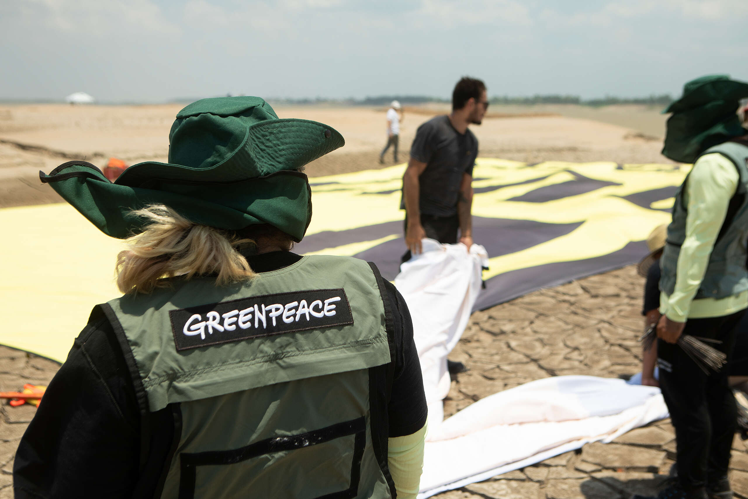Greenpeace Brasil publica primeiro Relatório de Transparência e Igualdade Salarial de 2026