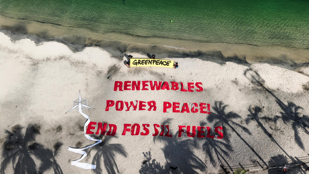 “Energias Renováveis alimentam a paz global”, alerta ação do Greenpeace na Conferência de Santa Marta