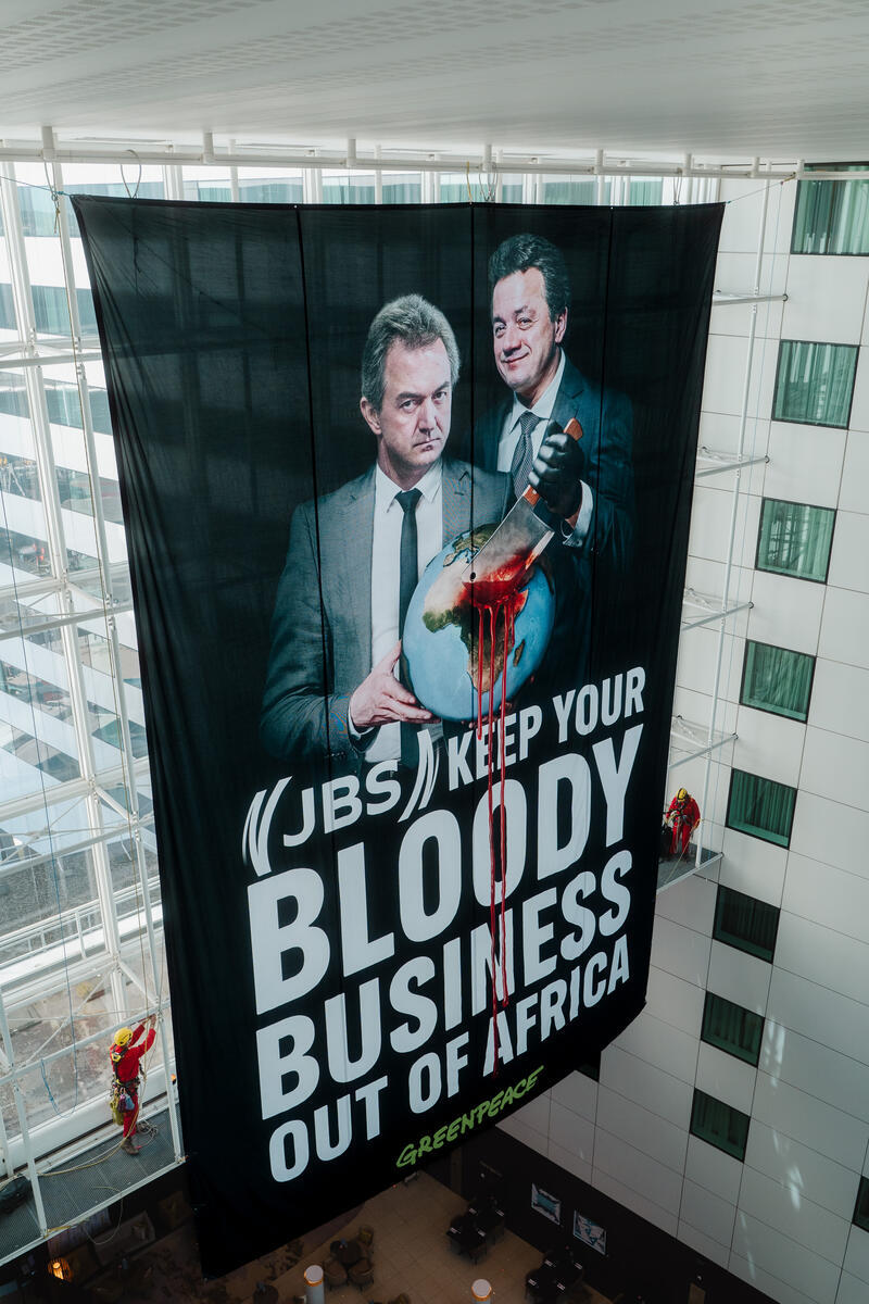 Greenpeace Holanda inicia a&ccedil;&atilde;o legal contra a gigante da carne JBS, enquanto ativistas interrompem primeira assembleia de acionistas no pa&iacute;s