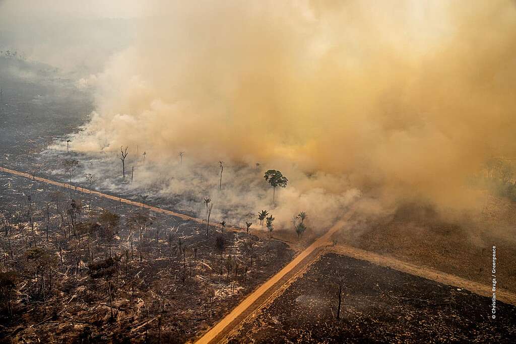 Foto tirada em área queimada da Amazônia pegando fogo.