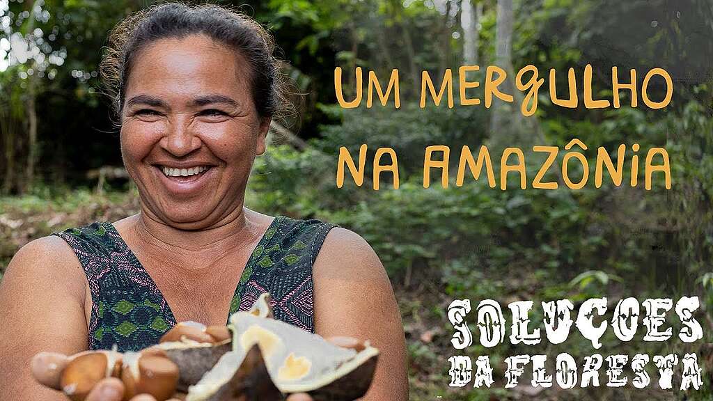 Série Soluções da Floresta Greenpeace 2026 Série Soluções da Floresta Greenpeace 2026