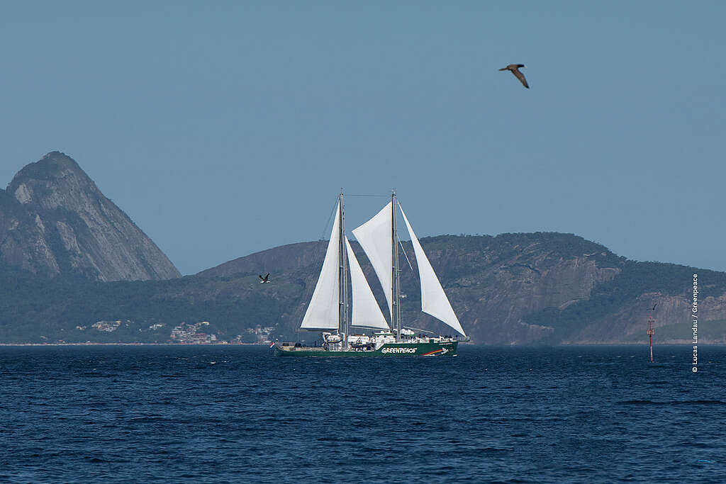 Imagem do veleiro do Greenpeace navegando no mar, com velas brancas abertas e casco verde. Ao fundo, aparecem montanhas e ilhas do litoral do Rio de Janeiro sob o céu claro. A água ocupa a parte inferior da imagem, e as aves voam próximas à embarcação.