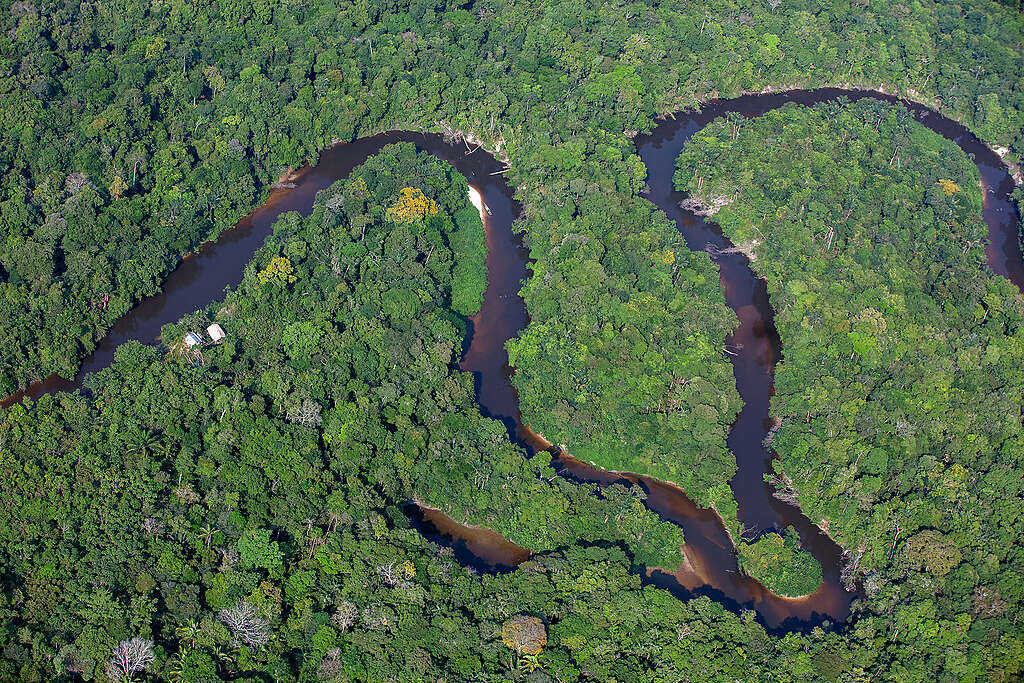Overflight within the boundaries of the Caititu Indigenous Territory, in Lábrea (AM)Sobrevôo dentro dos limites da Terra Indígena Caititu, em Lábrea (AM)