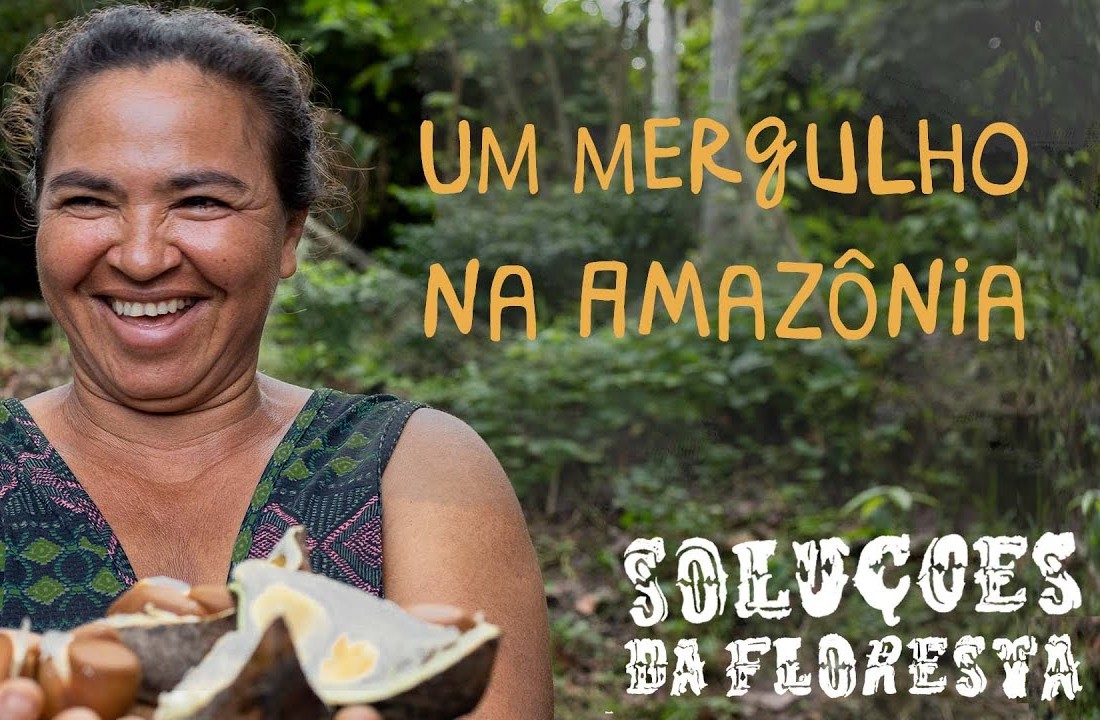 Soluções da Floresta: série do Greenpeace mostra quem mantém a Amazônia em pé