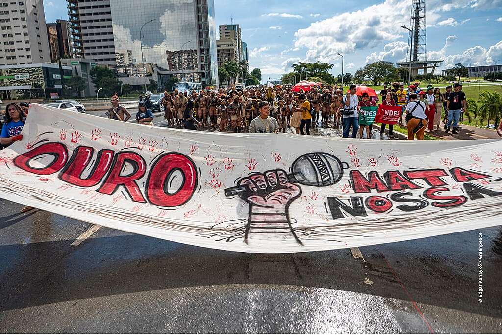 Foto tirada durante marcha no Acampamento Terra Livre 2026 em Bras&iacute;lia. Pessoas ind&iacute;genas est&atilde;o segurando um banner escrito &lsquo;&rsquo;Ouro Mata&rsquo;&rsquo;