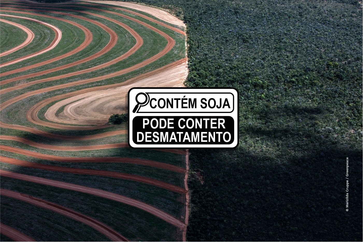 O que contém soja? Muito mais do que você imagina, e pode conter desmatamento