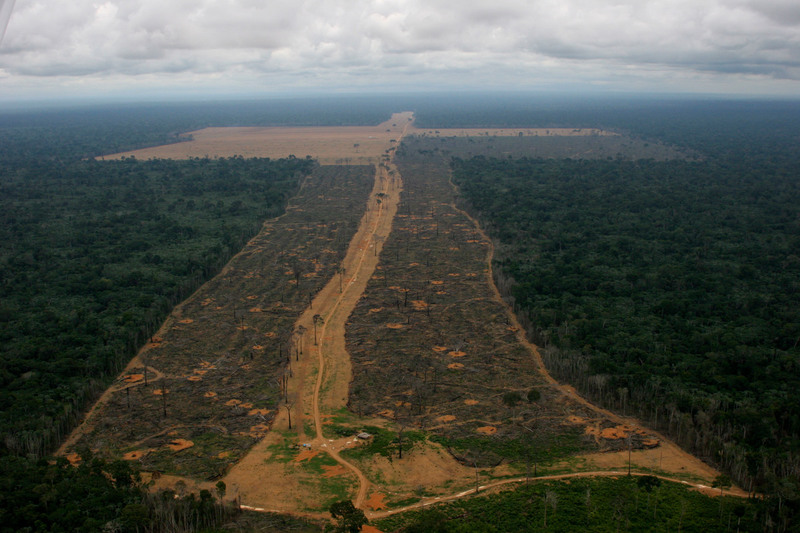 Área desmatada para cultivo de soja na Amazônia, em 2006. Antes da Moratória, a soja vinha se consolidando como um grande causa de desmatamento no bioma.