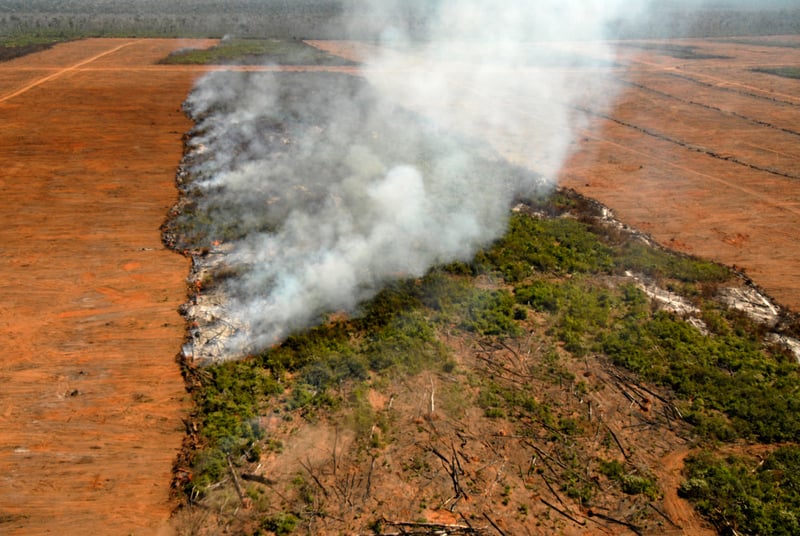 Estudo na Science aponta que fim da Moratória da Soja pode desmatar 1,4 milhão de hectares na Amazônia, o equivalente a 2 milhões de campos de futebol