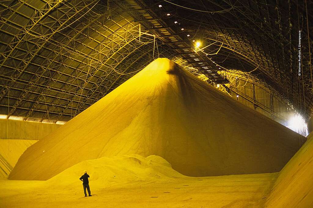grande silo de armazenamento de soja em Itacoatiara, próximo à área portuária. A soja armazenada será carregada em navios para exportação, representando a força da produção agrícola do estado de Mato Grosso, que alcança cerca de 52 milhões de toneladas por ano.