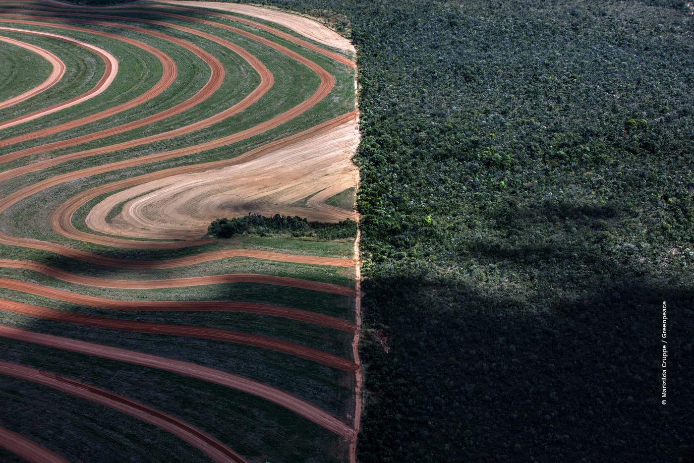 vista aérea do MATOPIBA, região entre os Estados do Maranhão, Tocantins, Piauí e Bahia, mostrando vastas plantações de soja e milho avançando sobre áreas desmatadas do Cerrado. A imagem destaca o contraste entre a expansão do agronegócio e os impactos ambientais e sociais sofridos pelas comunidades locais. No centro da imagem tem um selo escrito ''Contém Soja. Pode conter desmatamento''.