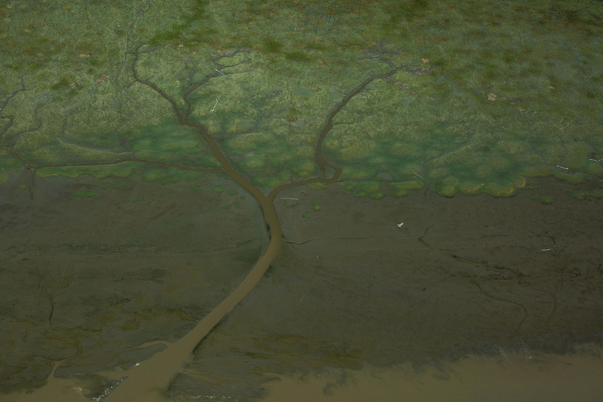 The coast of the state of Amapá, in the extreme north of Brazil, is in the sights of the international oil industry. The site includes diverse biomes, such as mangroves and tropical forests, and an important biome not yet known to science, the recently discovered Coral Reef of Foz do Amazonas, already threatened by oil exploration.