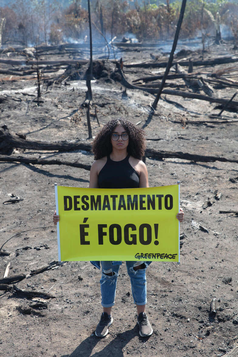 Um marco histórico para o Desmatamento Zero no Brasil