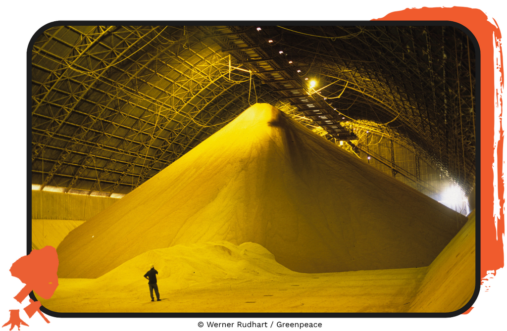 grande silo de armazenamento de soja em Itacoatiara, próximo à área portuária. A soja armazenada será carregada em navios para exportação, representando a força da produção agrícola do estado de Mato Grosso, que alcança cerca de 52 milhões de toneladas por ano.