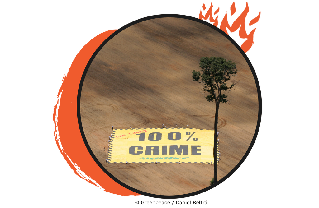 ativistas do Greenpeace ocupam uma área de 1.645 hectares da Amazônia que foi ilegalmente desmatada. No local, um enorme banner de 2.500 metros quadrados com a mensagem “100% crime” é estendido sobre a área devastada, chamando atenção para a destruição ambiental.
