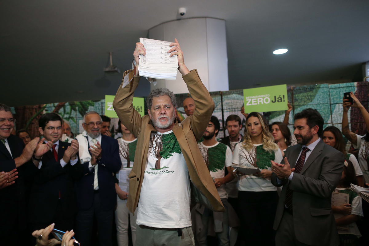 After three years gathering signatures, Greenpeace went to the Brazilian Congress to deliver the Zero Deforestation Project Bill. With more than 1.4 million Brazilians backing the initiative, Greenpeace’s activists presented the proposal to the parliamentarians asking to end all Brazilian forest destruction. Celebrities were present, too: Caio Blat, Jorge Pontual, Paulo Vilhena, Maria Paula, Marina Person, Luísa Matsushida and Valesca Popozuda.