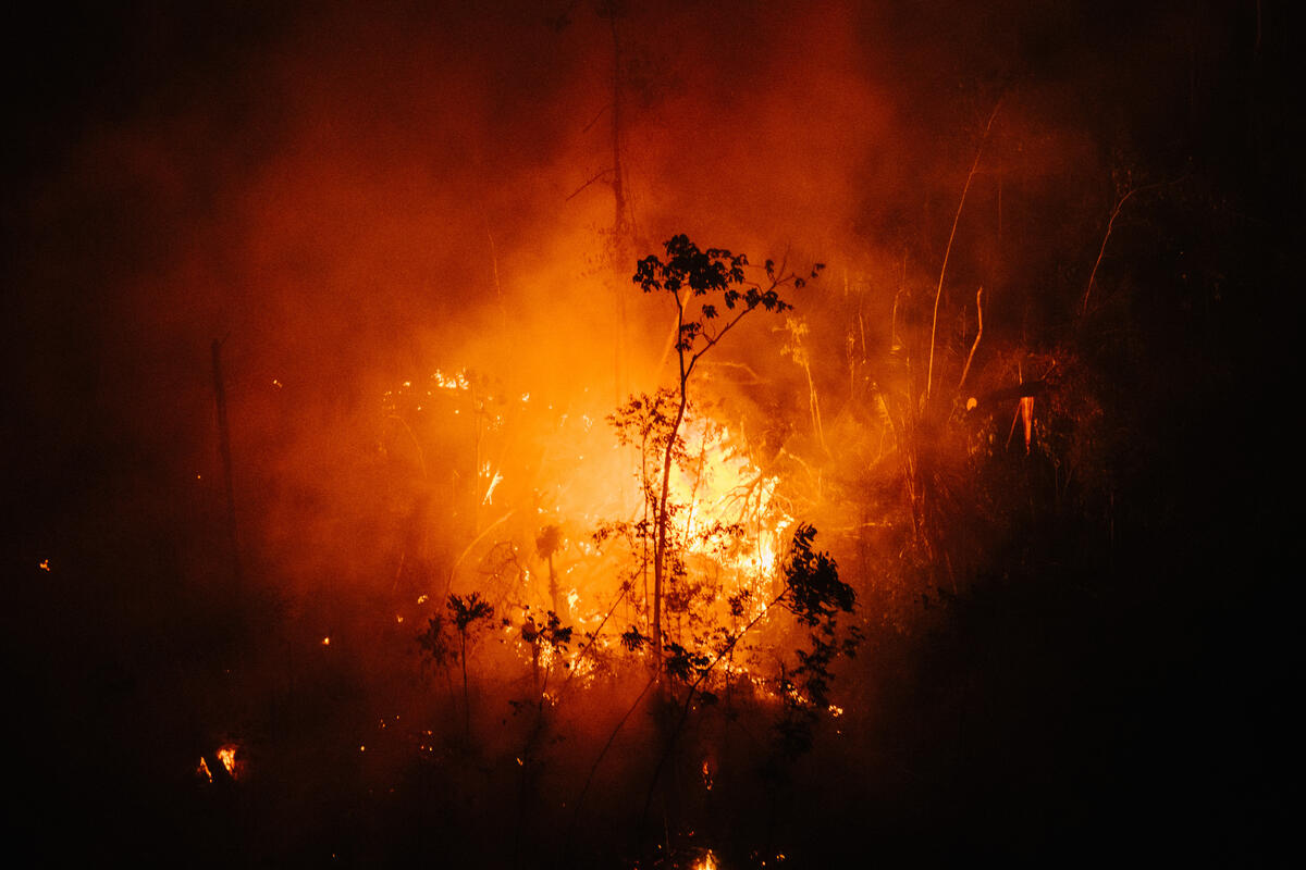 Fire and Deforestation Monitoring near the Manicoré River in the Amazon in Brazil. © Christian Braga / Greenpeace