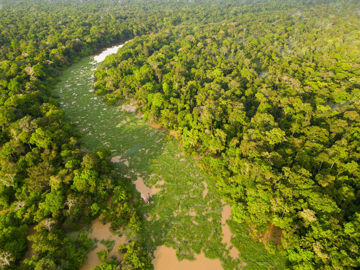 Respect the Amazon Expedition: Xeruã River. © Nilmar Lage / Greenpeace