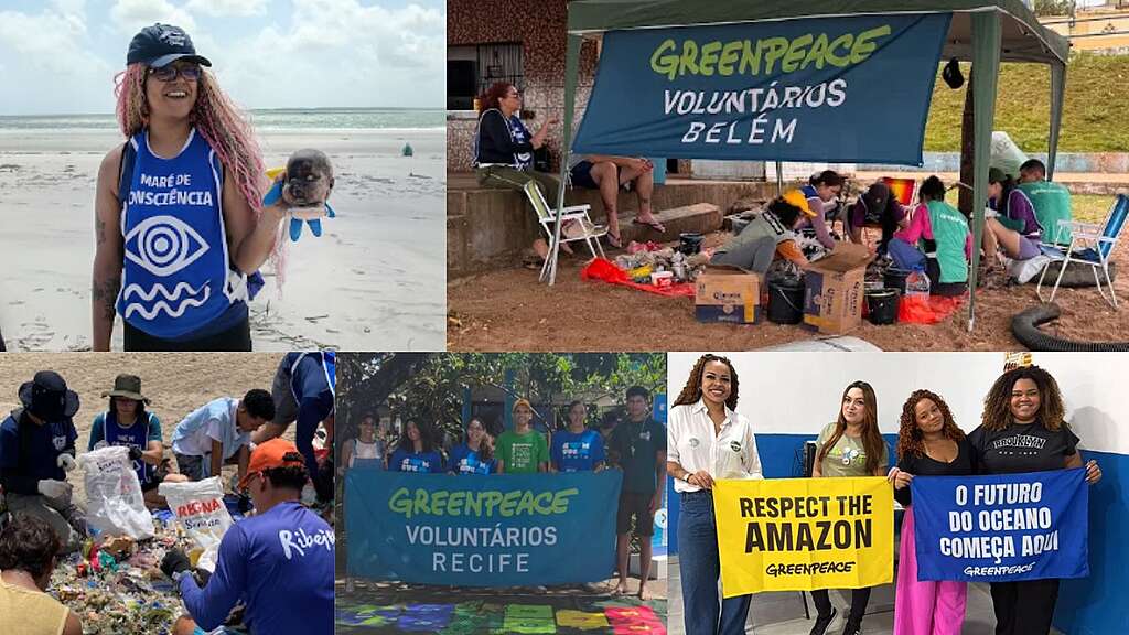 Montagem de fotos com os grupos de voluntários de diferentes regiões do país