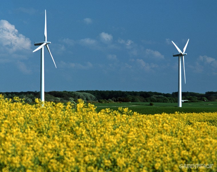 Copyright Paul Langrock Agentur Zenit. Windkraftanlage hinter Rapsfeld. Windkraft, Windkraftanlage, Windenergie, Windrad, Windraeder, Windenergieanlage, Rotorblatt, Rotorblaetter, Gondel, Strom, Elektrizitaet, Megawatt, Kilowattstunden, erneuerbare, regenerative, alternative Energie, Raps, nachwachsend, Biorohstoff, Rohstoff. Insel Samsoe. 10. Mai 2003