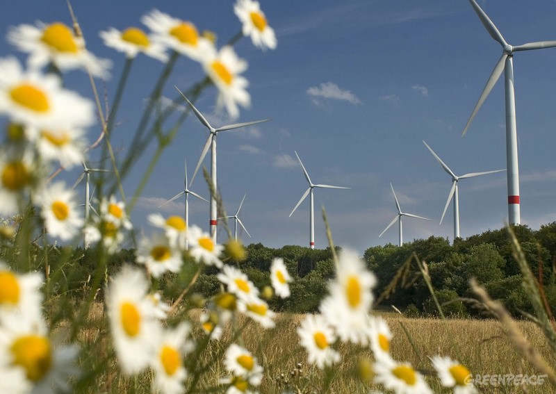 Copyright Paul Langrock Agentur Zenit. Auf der Fuchskaute, Hoher Westerwald, mit 657 Meter die hoechste Erhebung im Westerwald und beliebtes Ausflugsziel fuer Touristen, Wanderer, hat die Fuhrlaender AG zusammen mit dem regionalen Energieversorger KEVAG 12 Windkraftanlagen mit jeweils 1, 5 MW Megawatt Leistung errichtet. Windkraft, Windkraftanlage, Windpark, Windkraftpark, Windenergie, Windrad, Windraeder, Windenergieanlage, WKA, Rotorblatt, Rotorblaetter, Gondel, Strom, Elektrizitaet, Megawatt, Kilowattstunden, erneuerbare, regenerative, alternative Energie, Fauna, Flora, Gaenseblume, Gaensebluemchen, Wiese, Gras, Joachim Fuhrlaender. Waigandshain. 16. Juli 2005