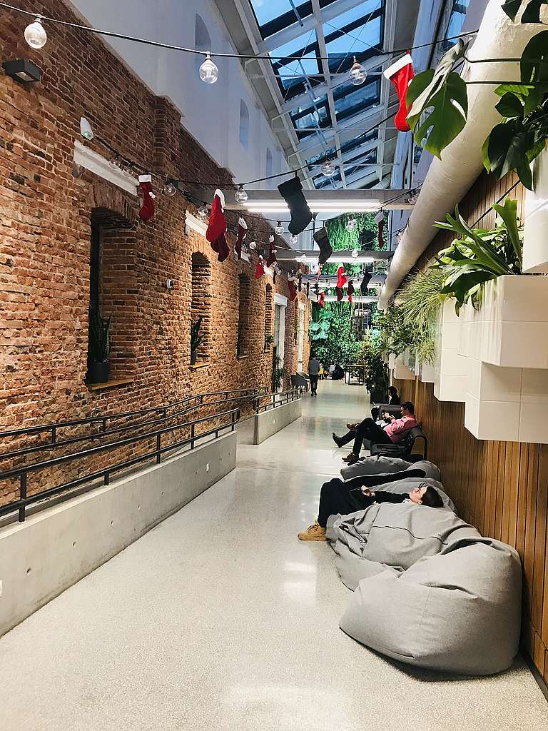 Изглед към интериора на Google for Startups © Aнгел Бондов/ „Грийнпийс“