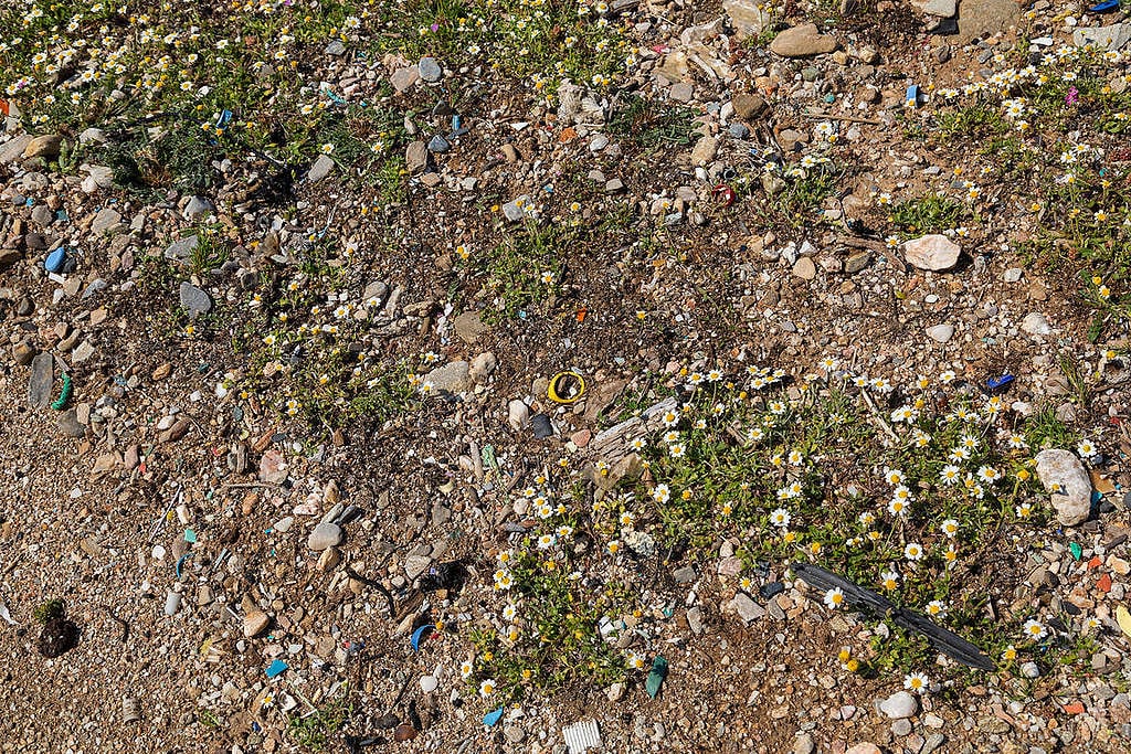 Revisiting Beaches after Clean-up in Greece. © Constantinos Stathias / Greenpeace Голямо разнообразие от пластмаси се е завърнало на плажа Чаракас. © Константинос Статиас/ „Грийнпийс“