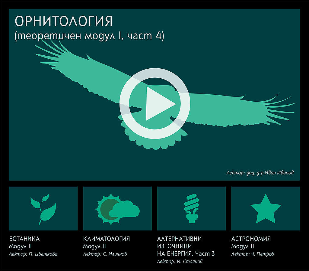 Примерен изглед на платформата с обучителни курсове © Фондация „НО Студио“