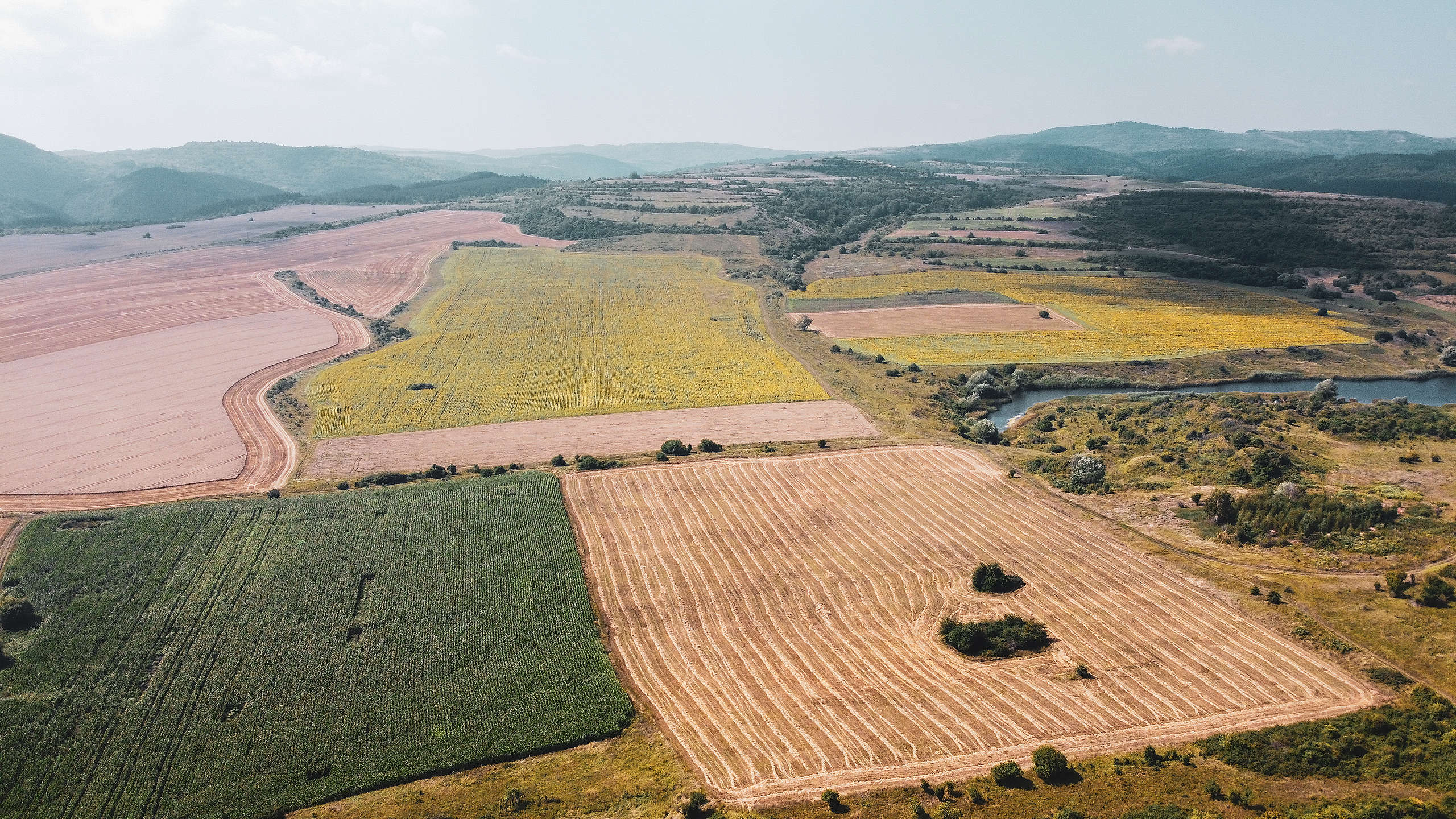 Изглед от въздуха към селски район в община Сливница, август 2020 Изглед от въздуха към селски район в община Сливница, август 2020