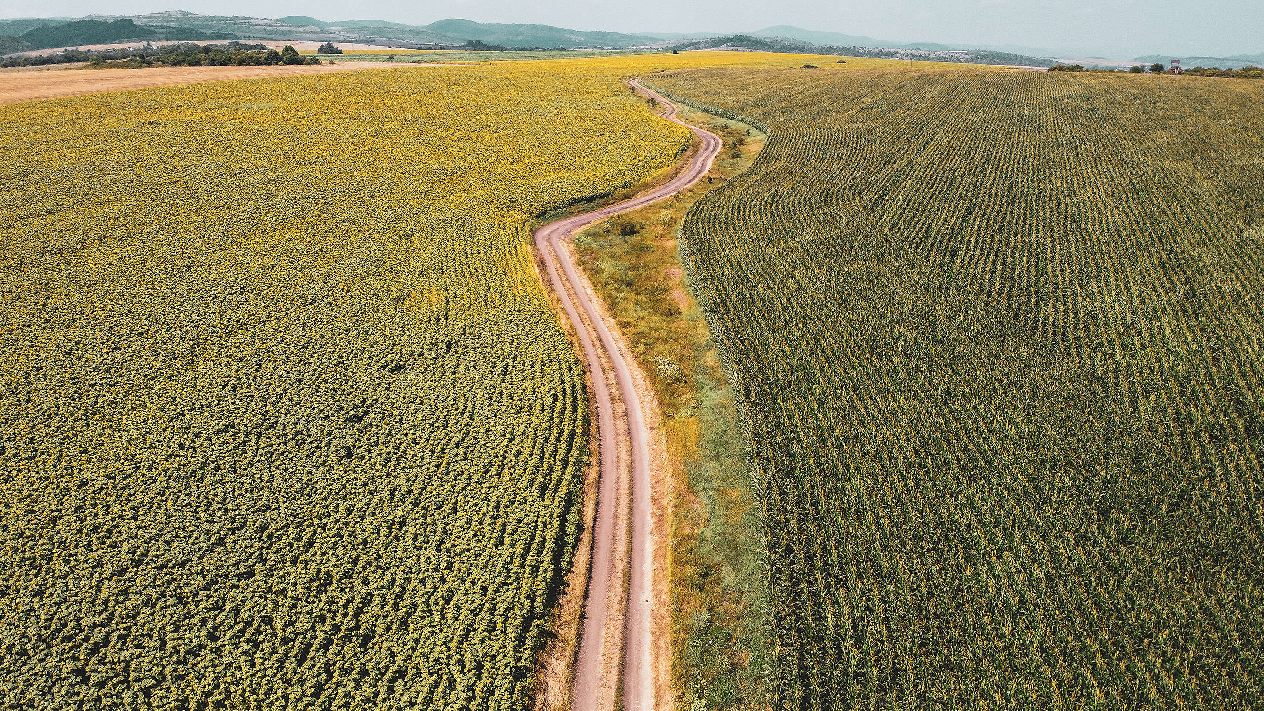 Изглед от въздуха към селски район в община Сливница, август 2020 Изглед от въздуха към селски район в община Сливница, август 2020