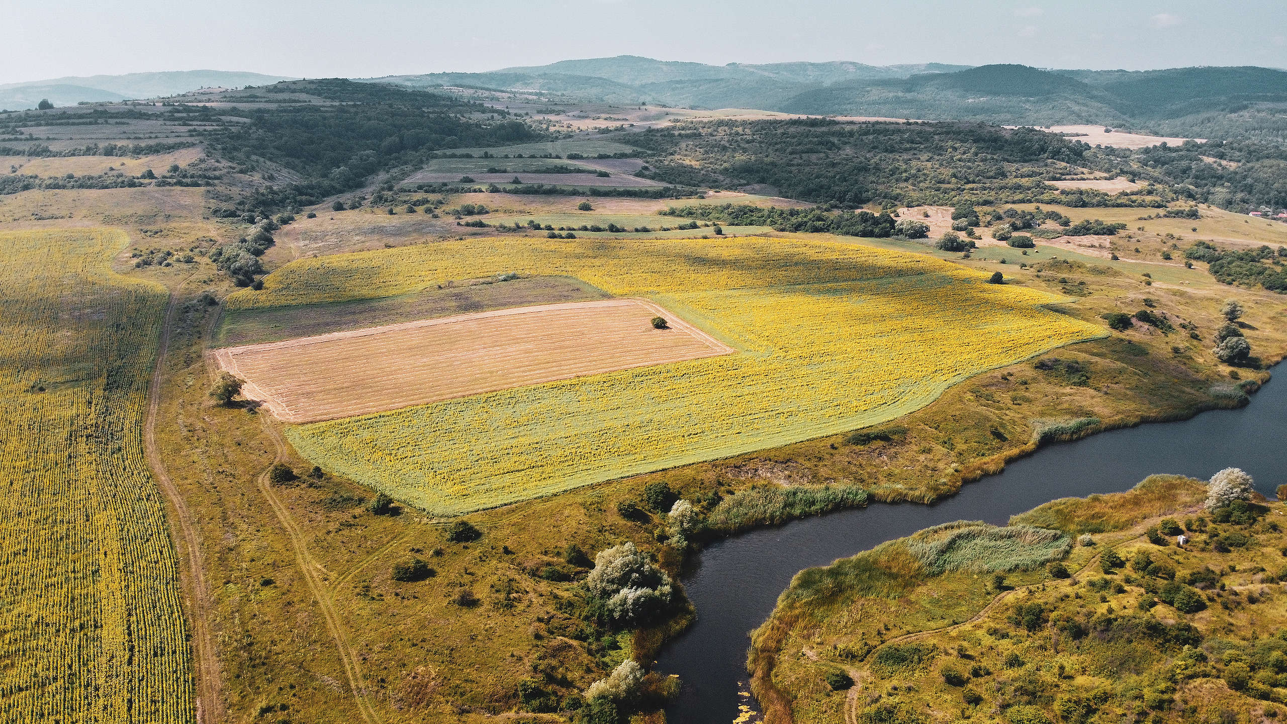Изглед от въздуха към селски район в община Сливница, август 2020 Изглед от въздуха към селски район в община Сливница, август 2020