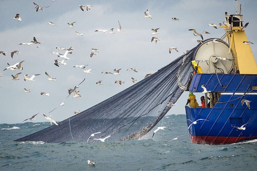 Кораб за тралене Кораб за тралене