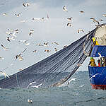 Как да разпознаеш различните видове тралове и до кого да подадеш сигнал?