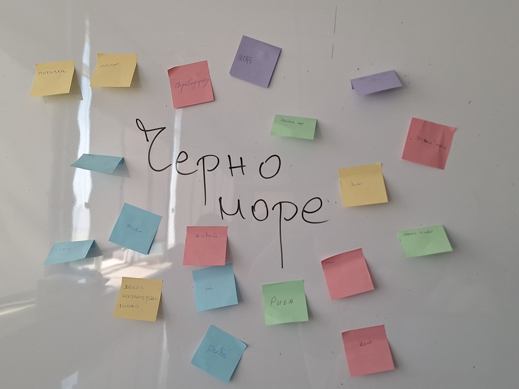 Посланици на Черно море в класната стая: Запознай се с „Поколение Земя“