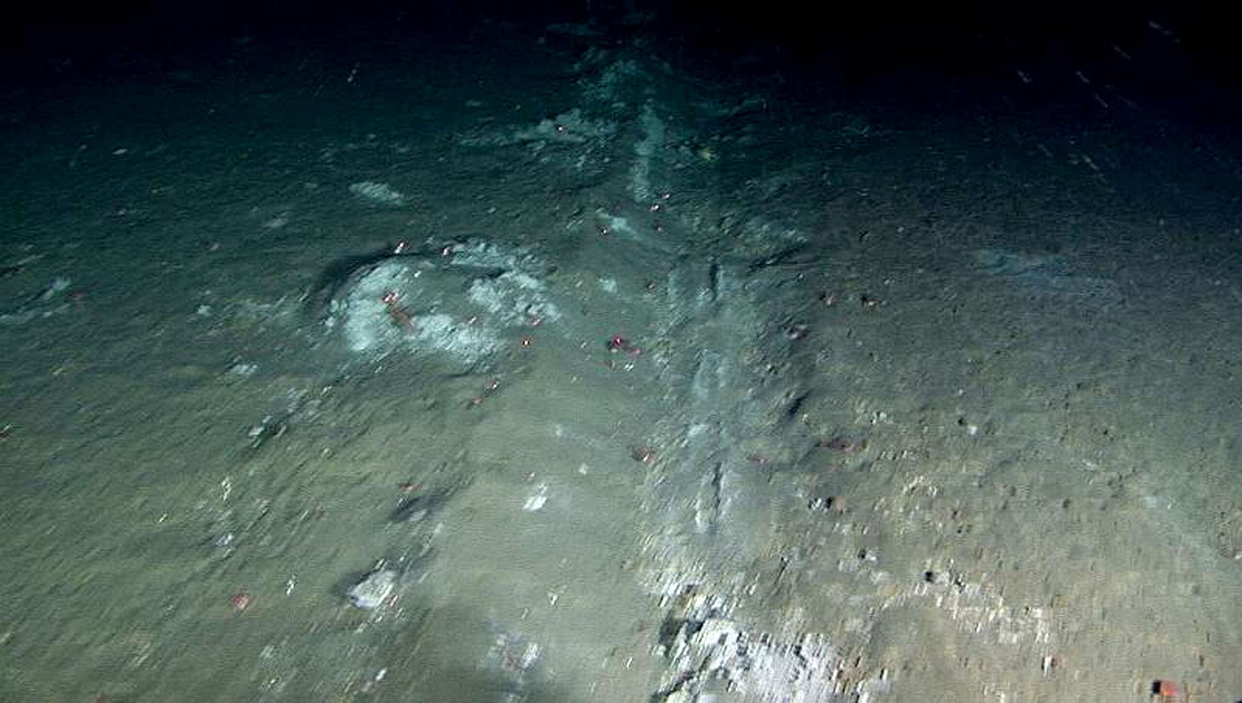 Следи от дънно тралене © Greenpeace Следи от дънно тралене © Greenpeace