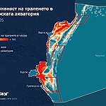 По случай Международния ден на Черно море: Карта на „Грийнпийс“ – България показва къде в българската акватория има най-интензивен натиск от тралене