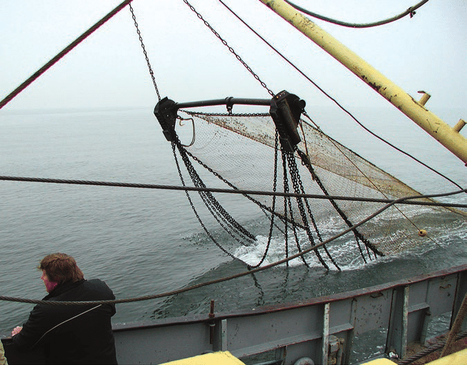 Бийм трал Бийм трал