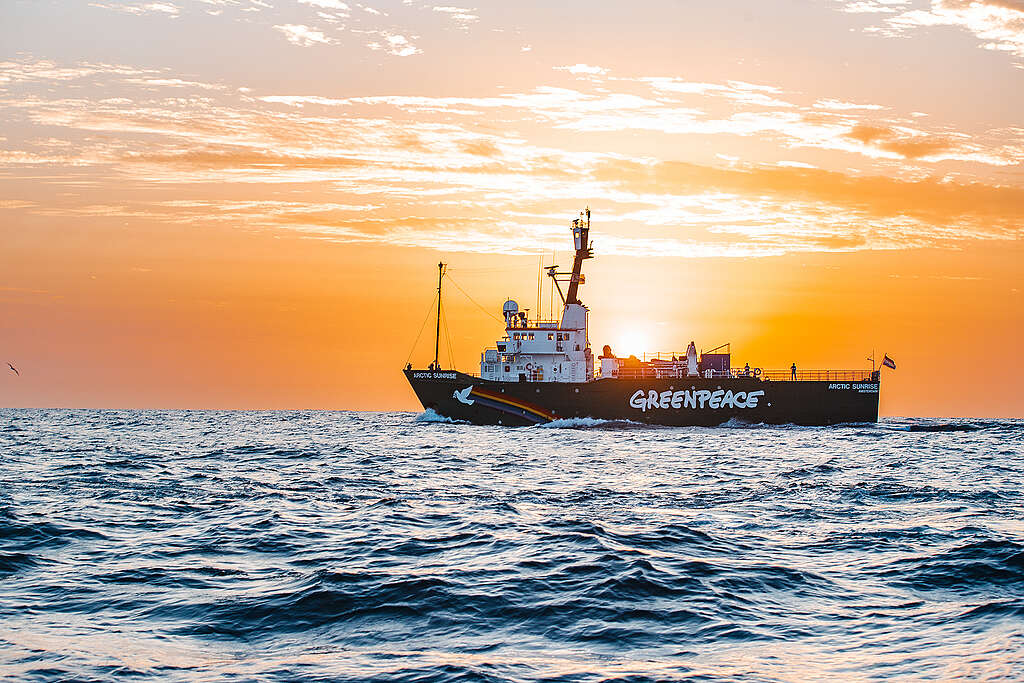 MY Arctic Sunrise West Africa Ship Tour - Gambia