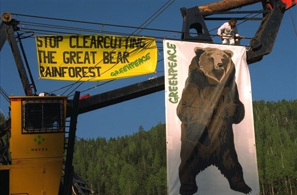 Banners on logging machines. Greenpeace activists occupy logging machines protest against clearcutting of Great Bear rainforest by Western Forest Products. Banners on logging machines. Greenpeace activists occupy logging machines protest against clearcutting of Great Bear rainforest by Western Forest Products.