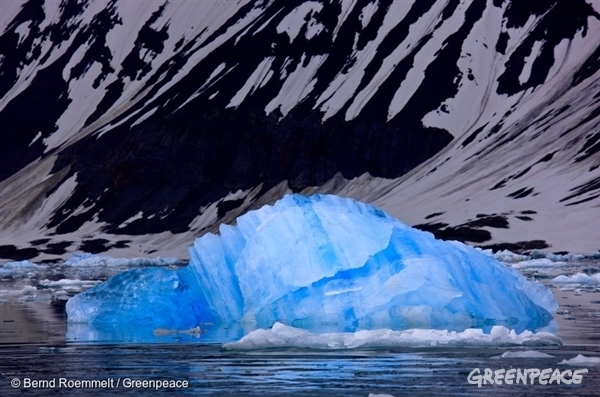 This is BIG! The seafood industry & major brands like McDonald’s commit to safeguard the Arctic
