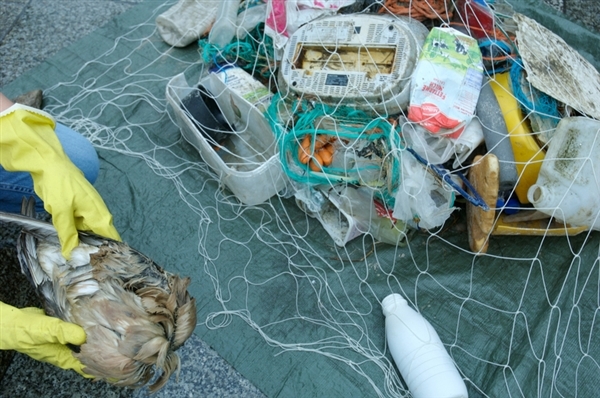 Action contre la pollution plastique dans les océans en Allemagne