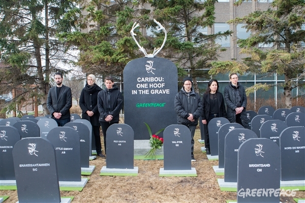 Greenpeace occupies Environment and Climate Change Canada with 51 tombstones