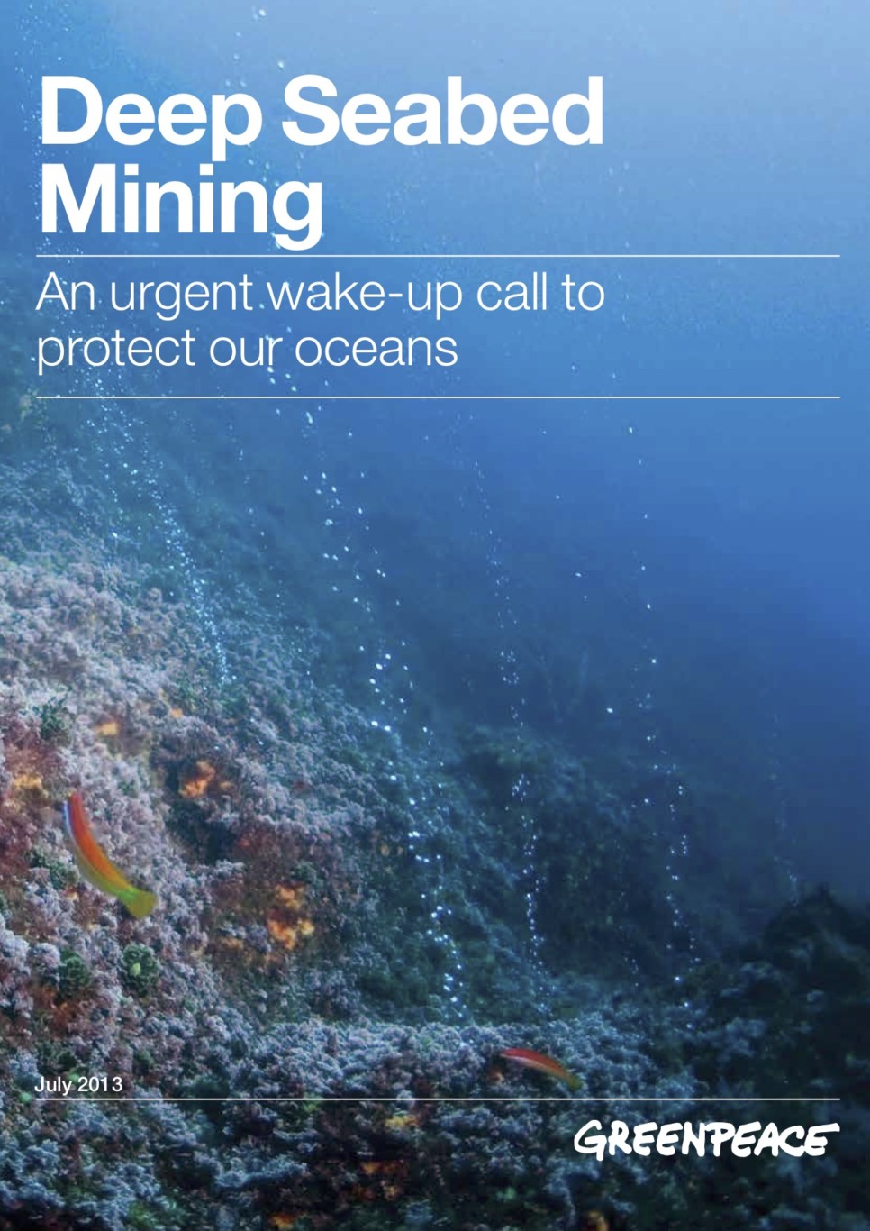 Deep Seabed Mining An urgent wakeup call to protect our oceans