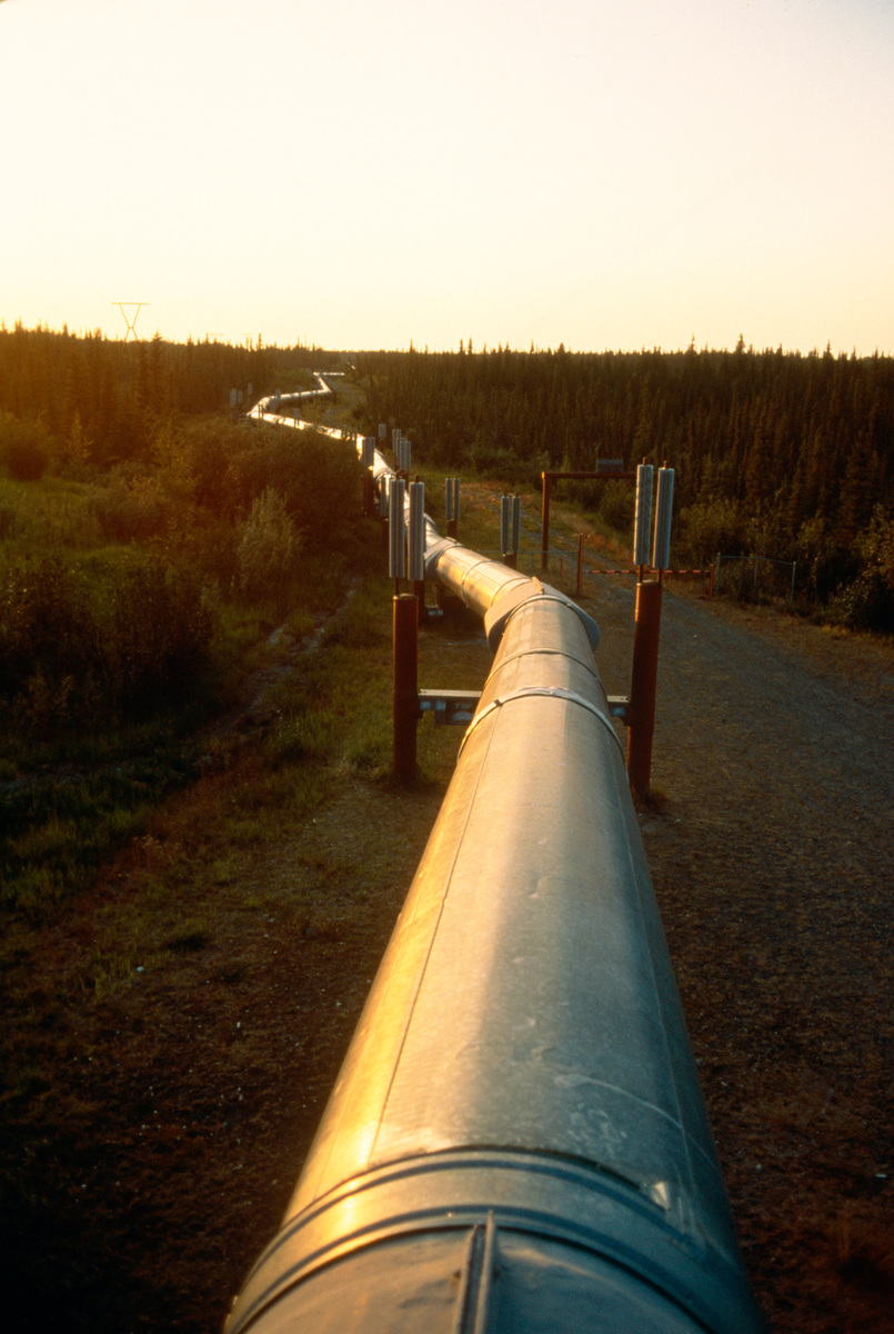 Oil pipeline north of Willow Lake, near Willow Creek, Alaska.