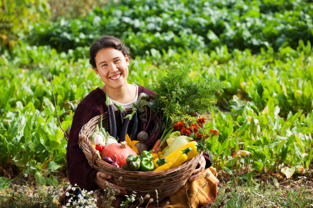 Organic Vegetables in Hungary